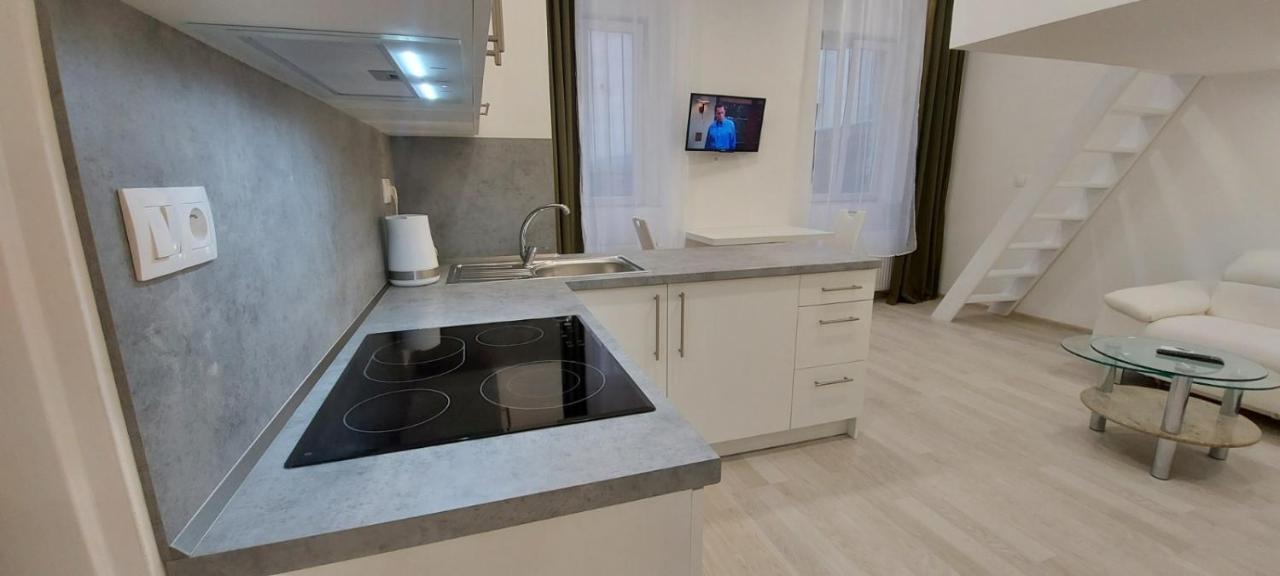 Apartment Krale Jiriho Karlovy Vary Extérieur photo